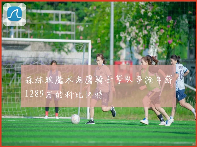 森林狼魔术老鹰骑士等队争抢年薪1289万的科比怀特