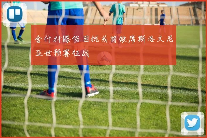 舍什科膝伤困扰或将缺席斯洛文尼亚世预赛征战