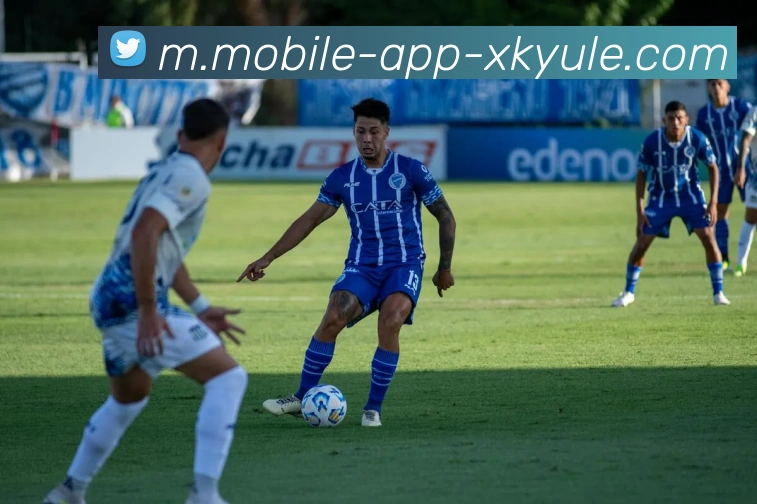 星空体育平台生态图