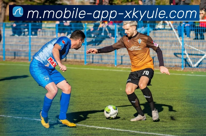 星空体育APP 封面图