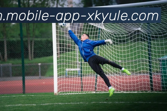 数据防护可视化